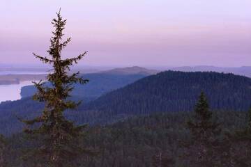 Фото номера Коттедж с 2 спальнями и сауной Шале Koli Freetime Cottages г. Ахмоваара 16